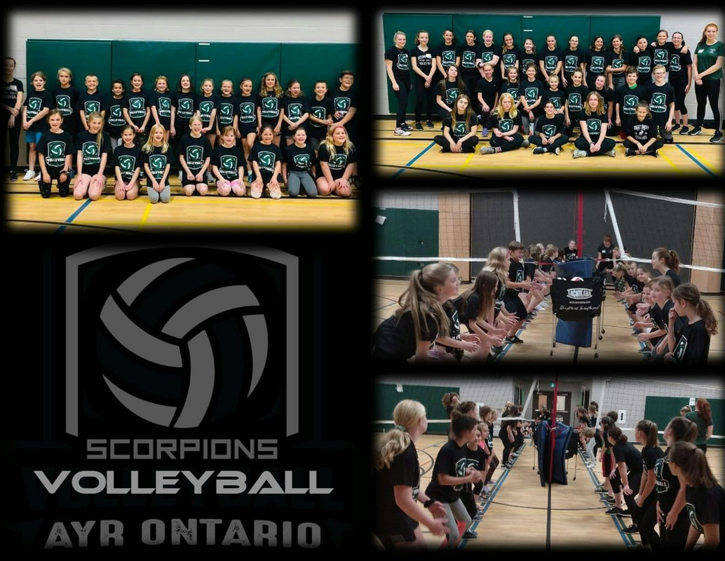 scorpions volleyball AYR