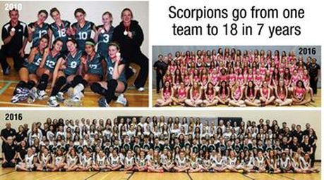 Scorpions Volleyball