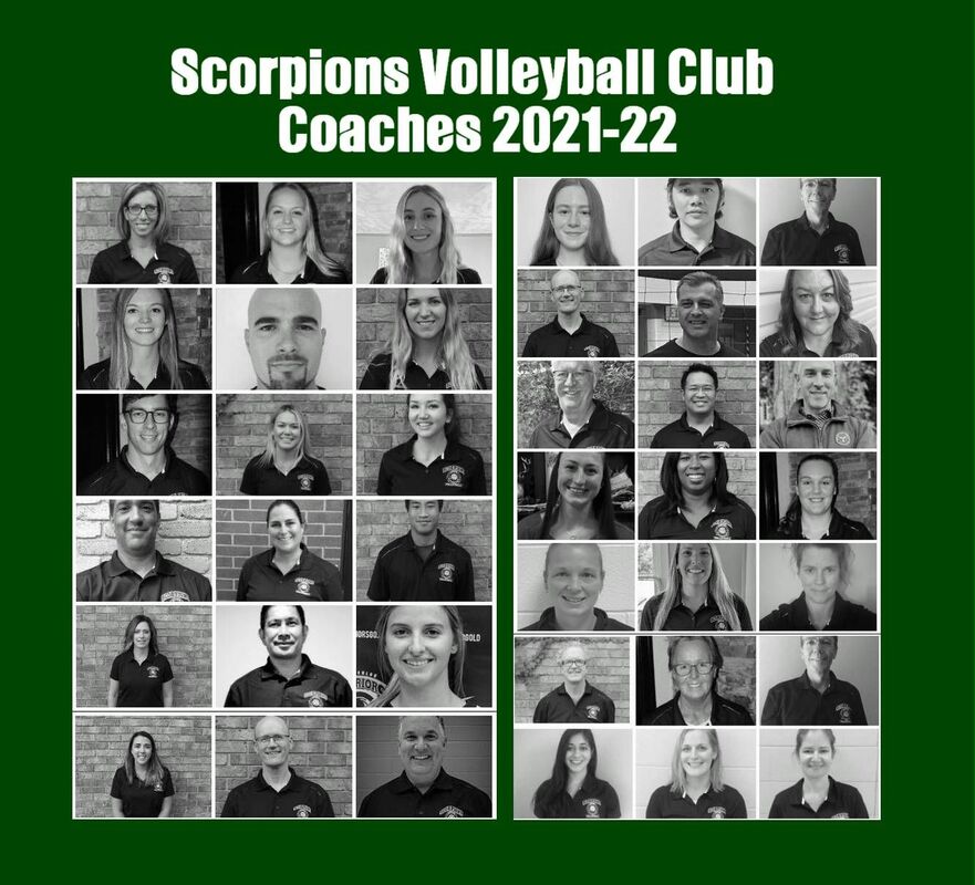scorpions coaches