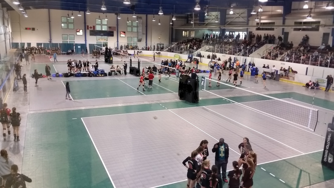 Scorpions Volleyball Sports Courts