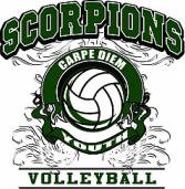 scorpions volleyball education