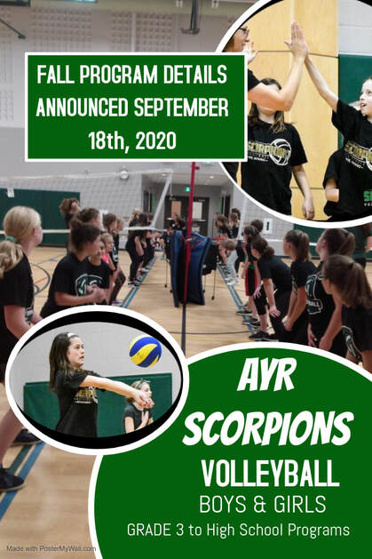scorpions ayr volleyball