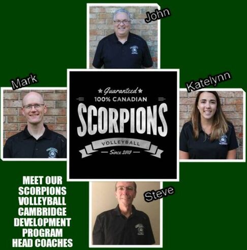 scorpions volleyball kitchener