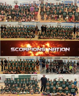 Scorpions Volleyball